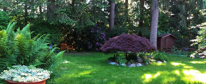 Hardscaping, Concrete Landscaping